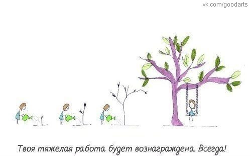 JGyvByQCt20.jpg