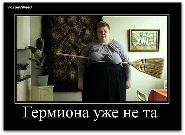 x_e1961110.jpg