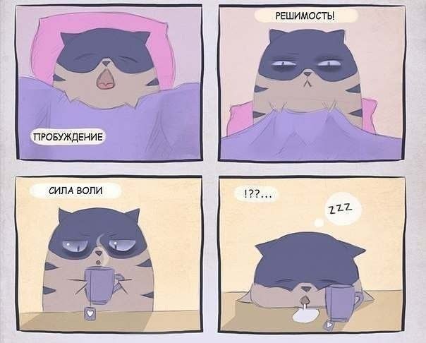 bXxiIbDEjsg.jpg