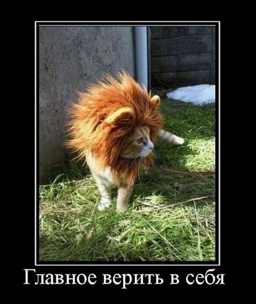 v5VV_2E5_I4.jpg