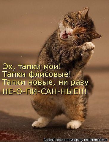 iQhqBZOffws.jpg