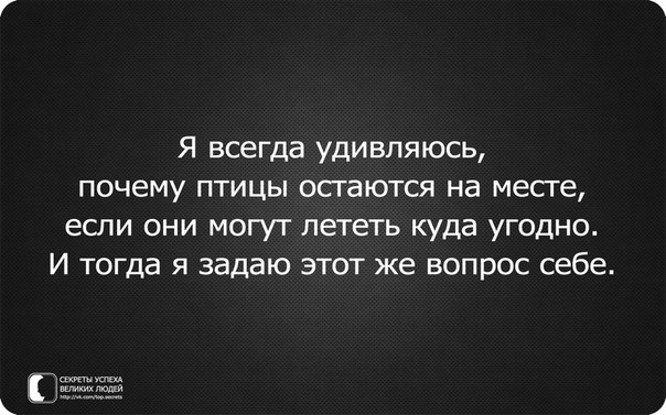 XfTEjIPcpO0.jpg
