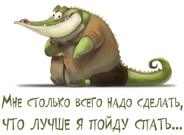 LEH8WwLVbv8.jpg