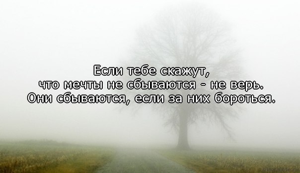 BRs7pmDaoTg.jpg