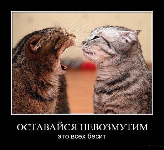 7H3-4zxbv9A.jpg