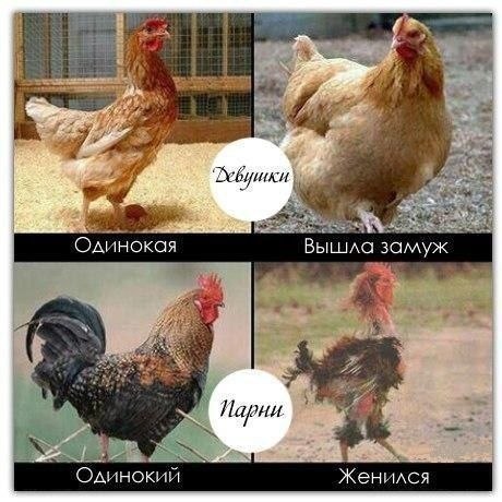 enkPpj7APv0.jpg
