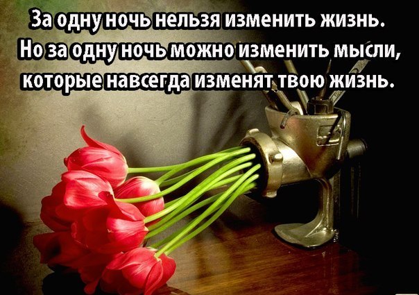23p4EPoi064.jpg