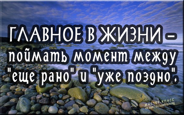 oaDRnFYKHSU.jpg