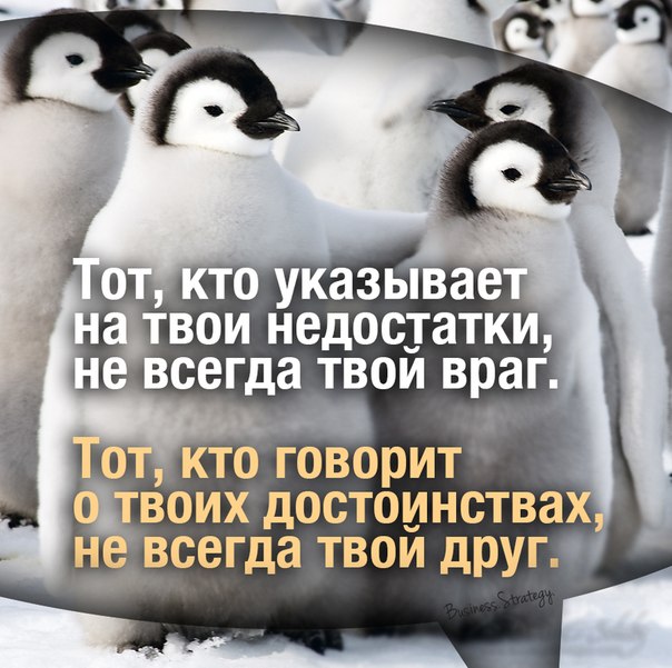 3IeSQQhGQn8.jpg