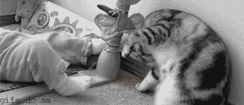 0_49d84_23b18565_L.gif