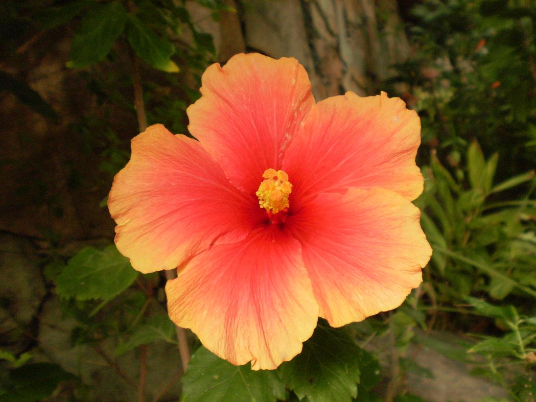PA290096.JPG