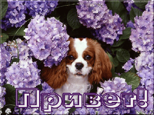 756504941.gif