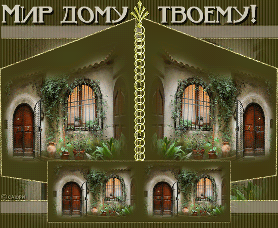 15173637.gif