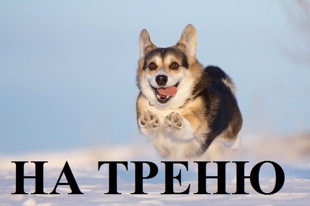 oEUVtnLzUkc.jpg