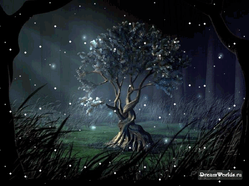 1258382995_0_1c3a1_cf6f2ee3_l.gif