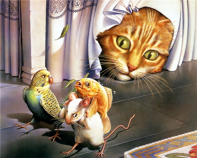 cats_pictures01.jpg