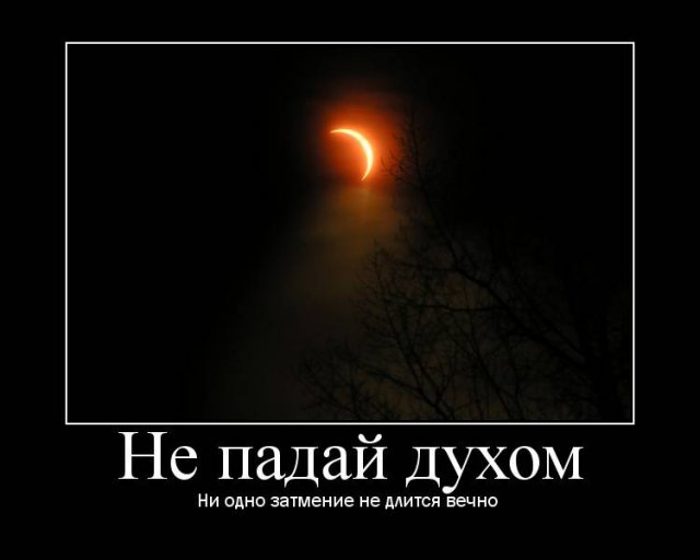 e66ba1ed98.jpg
