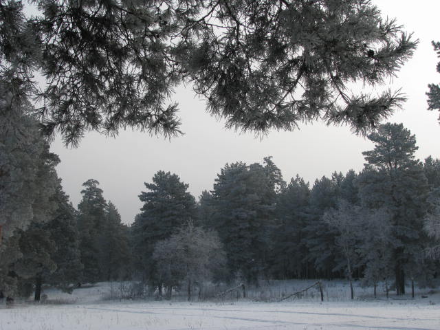 7марта2009 055.jpg
