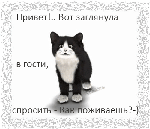 0_4fa65_2a1735e0_L.gif