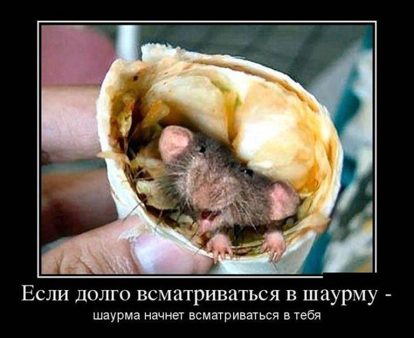RZAKyAlxqYs.jpg