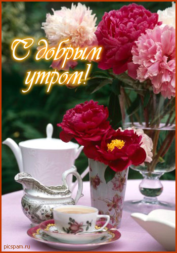 доброе утро.jpg