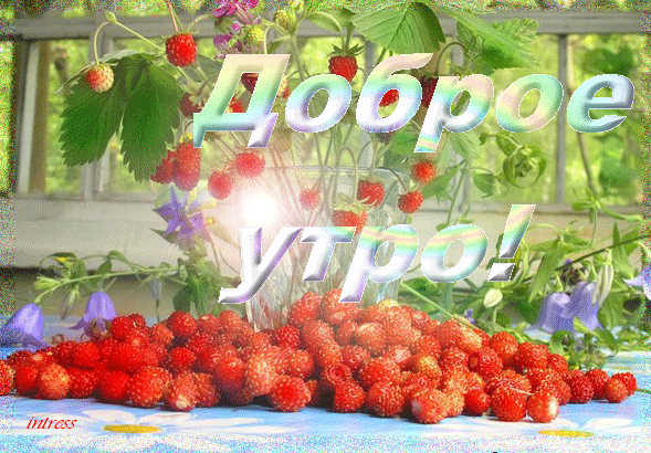 72983529_1f369f9e3e9a1.gif