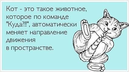getImage (1).jpg