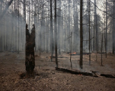Usinskiy_kurgan_12.jpg
