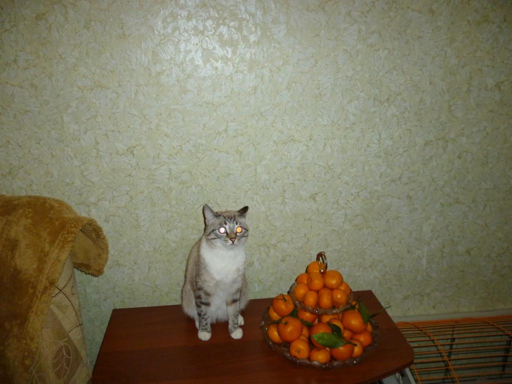 хис.JPG