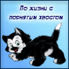 z3.gif