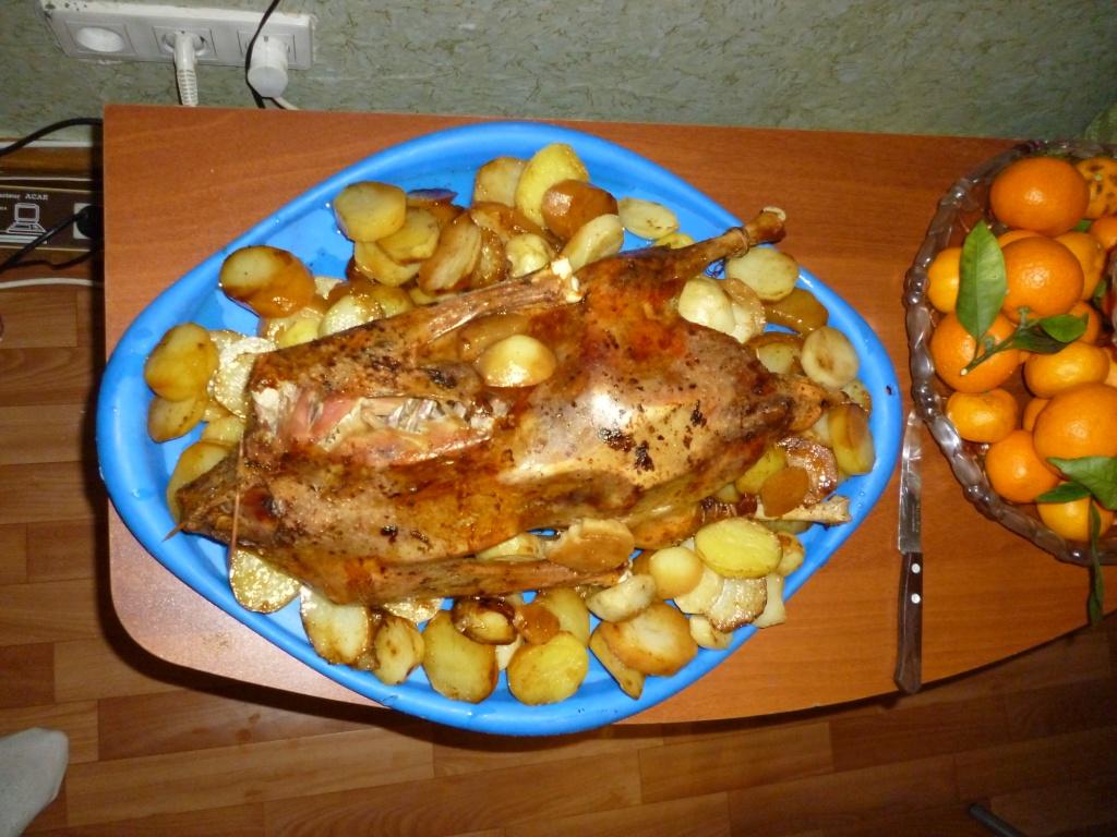 Гусь.JPG