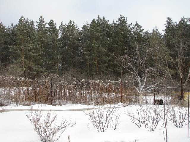 7марта2009 126.jpg