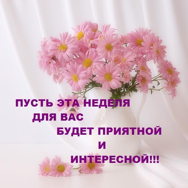 83518233__1___1_1.JPG