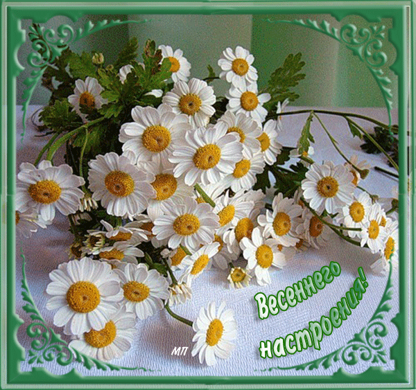 vesna_19.gif