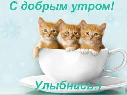 images.jpg