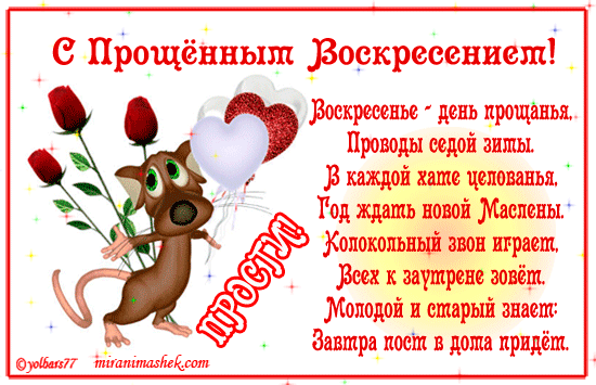 4.gif