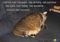 _Df8zSeBgL0.jpg