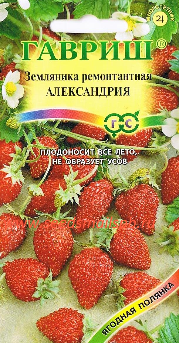 зe.jpg