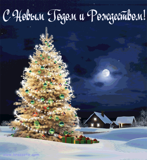 13.gif
