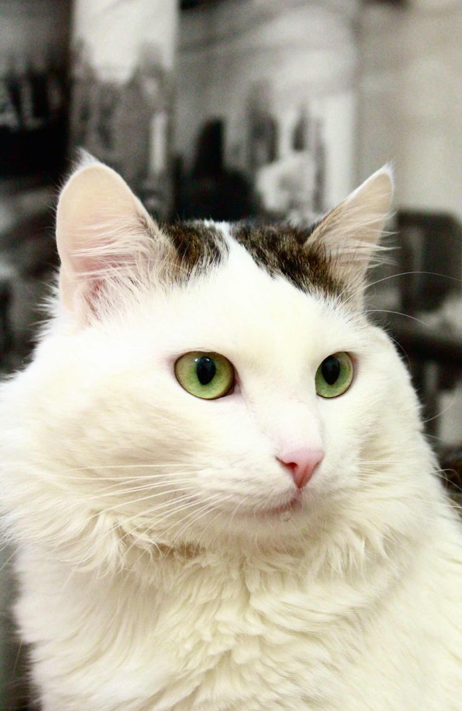 z_1360f7b7.jpg