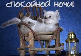 загруженное (3).jpg
