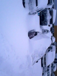 IMG0081B.jpg