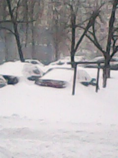 IMG0080B.jpg