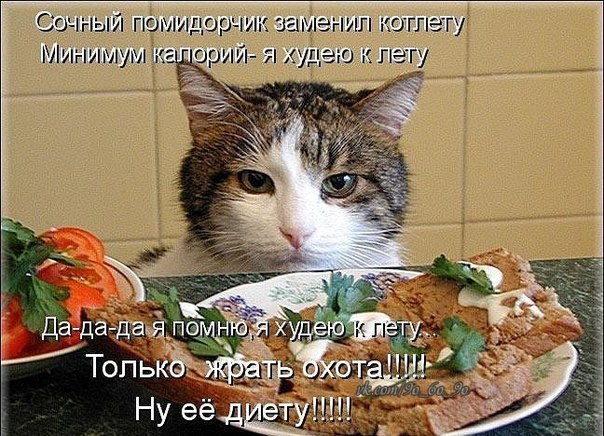 ZukWwr0ptYg.jpg