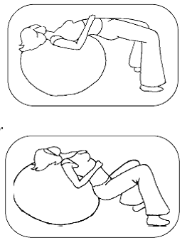 для талии.png