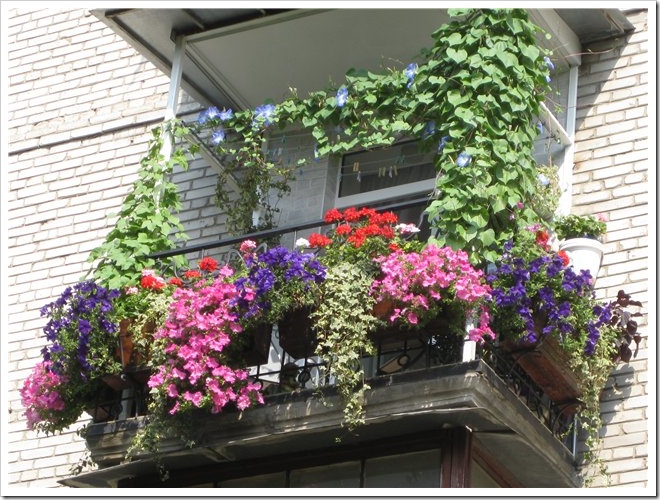 image243.png