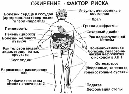 82743516_large_4300145.jpg