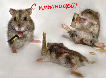 s_pytnicei.jpg