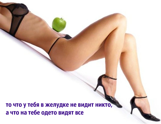 t4_3586164.jpg