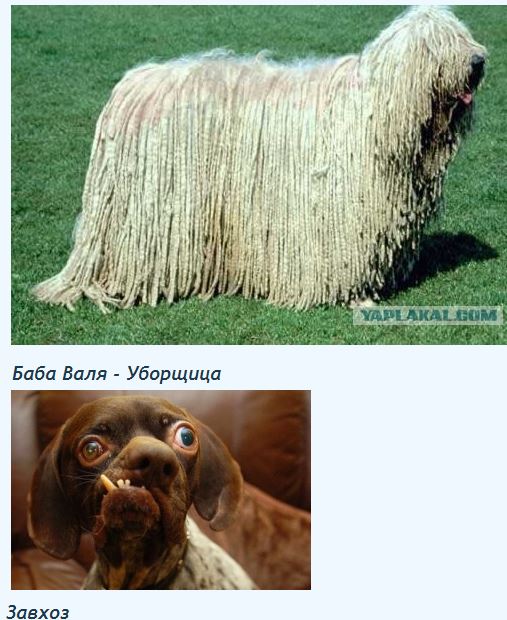 9.JPG